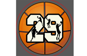 29 basketball